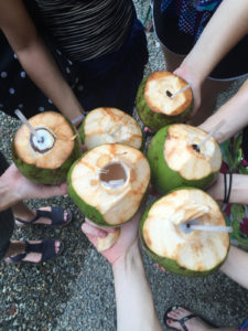 Fresh coconuts at the town market